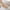 Khaki, variant on Jacenvly New Bath Mats for Bathroom Bathroom Floor Mat Bathroom Entrance Water Absorption and Not Easy Slip Mat Household Carpet Polyester Entrance Foot Mat Room Decor 24 * 15.7 * 0.79In