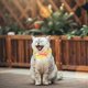thumbnail image 5 of 6pcs Cat Collar With Bell And Bow Tie, 5 of 5