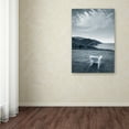 thumbnail image 3 of Trademark Fine Art 'By the Sea IV no Border' Canvas Art by Alan Majchrowicz, 3 of 3
