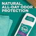 thumbnail image 3 of Tom's of Maine Long-Lasting Aluminum-Free Natural Deodorant for Women, Wild Lavender, 2.25 oz. 3-Pack, 3 of 4