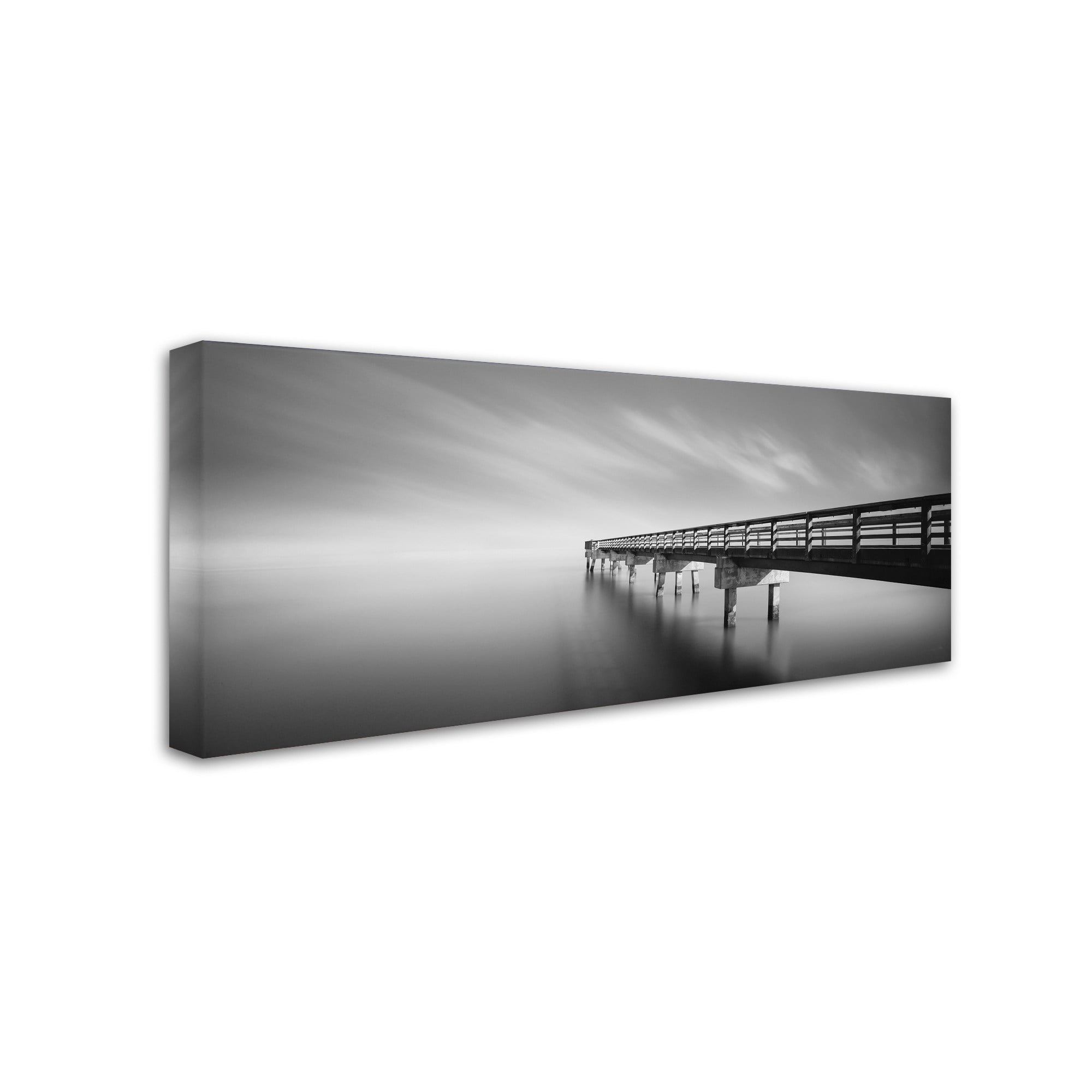 Trademark Fine Art "Infinity Panoramic" Canvas Art by Moises Levy