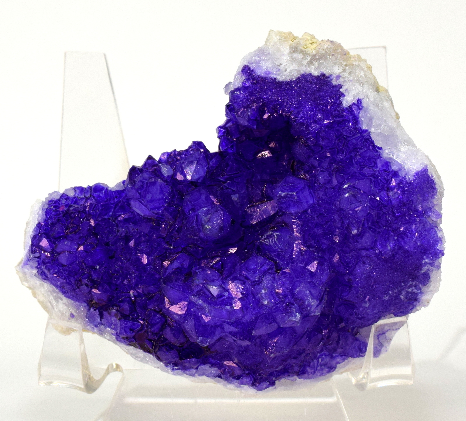 purple crystal purple crystal