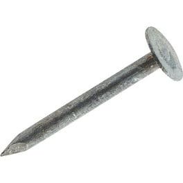 1.75 In. 5D Box Hot-Dipped Galvanized Steel Flat Head Nail, Gray, 6PK