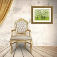 thumbnail image 3 of Gulin, Sylvia 14x12 Gold Ornate Wood Framed with Double Matting Museum Art Print Titled - Oregon-Hood River-spring blooming apple tree orchard, 3 of 4