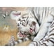 thumbnail image 1 of Taladro Diamond Painting (DE3237) 5D DIY Full Cute Animals Cross Stitch Craft Kit (15) 40x50cm Hugtrwg Para estrenar, 1 of 1