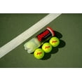 thumbnail image 4 of Penn Championship Regular Duty Tennis Balls (1 can, 3 balls), 4 of 5