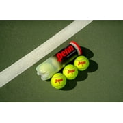 (2 pack) Penn Championship Regular Duty Tennis Balls (1 can, 3 balls)