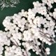 thumbnail image 4 of 4/20Pcs Artificial Berries Christmas Decoration White Berry Branches Berries Stems Bouquet DIY Xmas Tree Wreath Home Party Decor, 4 of 5
