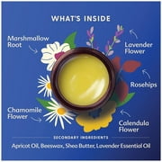 Motherlove Pregnant Belly Salve, Herbal Stretch Mark Prevention for Pregnancy, 4 oz