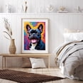 thumbnail image 6 of Diamond Art Kit for Adults, Smiling French Bulldog Vibrant Background Diamond Painting for Adults Beginners, DIY Diamond Art Painting Kits, 5D Diamond Painting Crafts for Home Decor 12x16 Frameless, 6 of 7