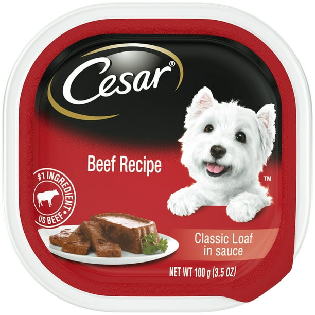 CESAR Soft Wet Dog Food Classic Loaf in Sauce Beef Recipe, 3.5 oz. Easy