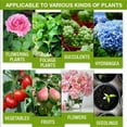 thumbnail image 5 of Plant Fertilizer Indoor Potted Plants, Liquid Fertilizer, BottlewithDropper, 1.7 Fl Oz, Indoor, Growth Enhancing Supplement, 5 of 7