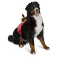 thumbnail image 5 of Vibrant Life Halloween Dragon Rider Costume for Dogs, Multicolor, Extra Large, 5 of 8