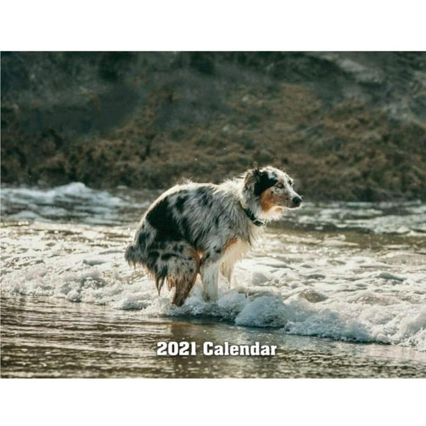 mmirethe 2021 Calendar Pooping Dogs Wall Calendar Jan 2021Dec 2021