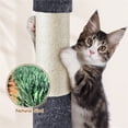 thumbnail image 6 of Yaheetech 33.5" Cat Tower with Oversized Top Perch, Large Cat Condo & Scratching Posts, Dark Gray, 6 of 8