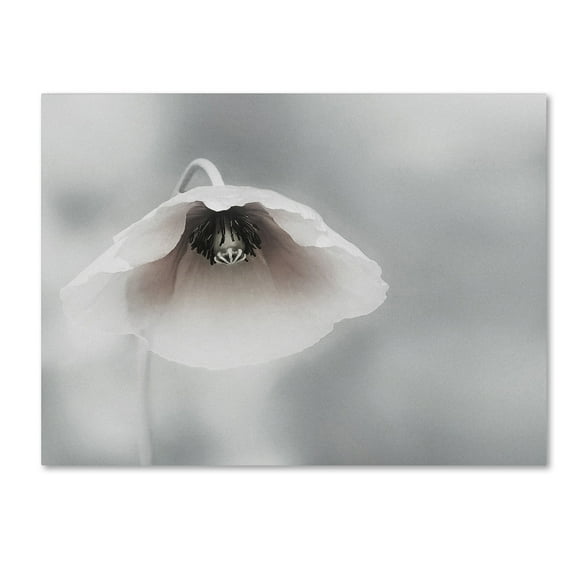 Piet Flour 'Ephemeral Beauty' Canvas Art