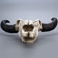 thumbnail image 2 of Matsuzay Cráneos de resina Cabeza de vaca Esqueleto duradero Resina epoxi Pared Animal exquisito para parrilla Restaurante Calavera Decoración Decoración, 2 of 6