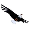 thumbnail image 2 of TISHITA 3D Bald Eagle Huge Kite for Kids And Adults Single Line String Easy for Beach 200x98cm, 2 of 8