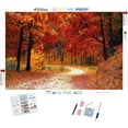 thumbnail image 1 of Road Less Traveled, 1 of 10