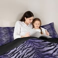 thumbnail image 5 of Homewish Teens Animal Zebra Print 3 Pieces Queen Comforter Set,Abstract Gradient Ultra Soft Bedding Sets,Vintage Geometric Stripes Bedding Comforter Set Breathable,Super Cozy Room Decor, 5 of 8