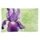 Carolines Treasures TMTR0234PILLOWCASE Iris Violet par Malenda Trick Tissu Taie d'Oreiller Standard – image 1 sur 2