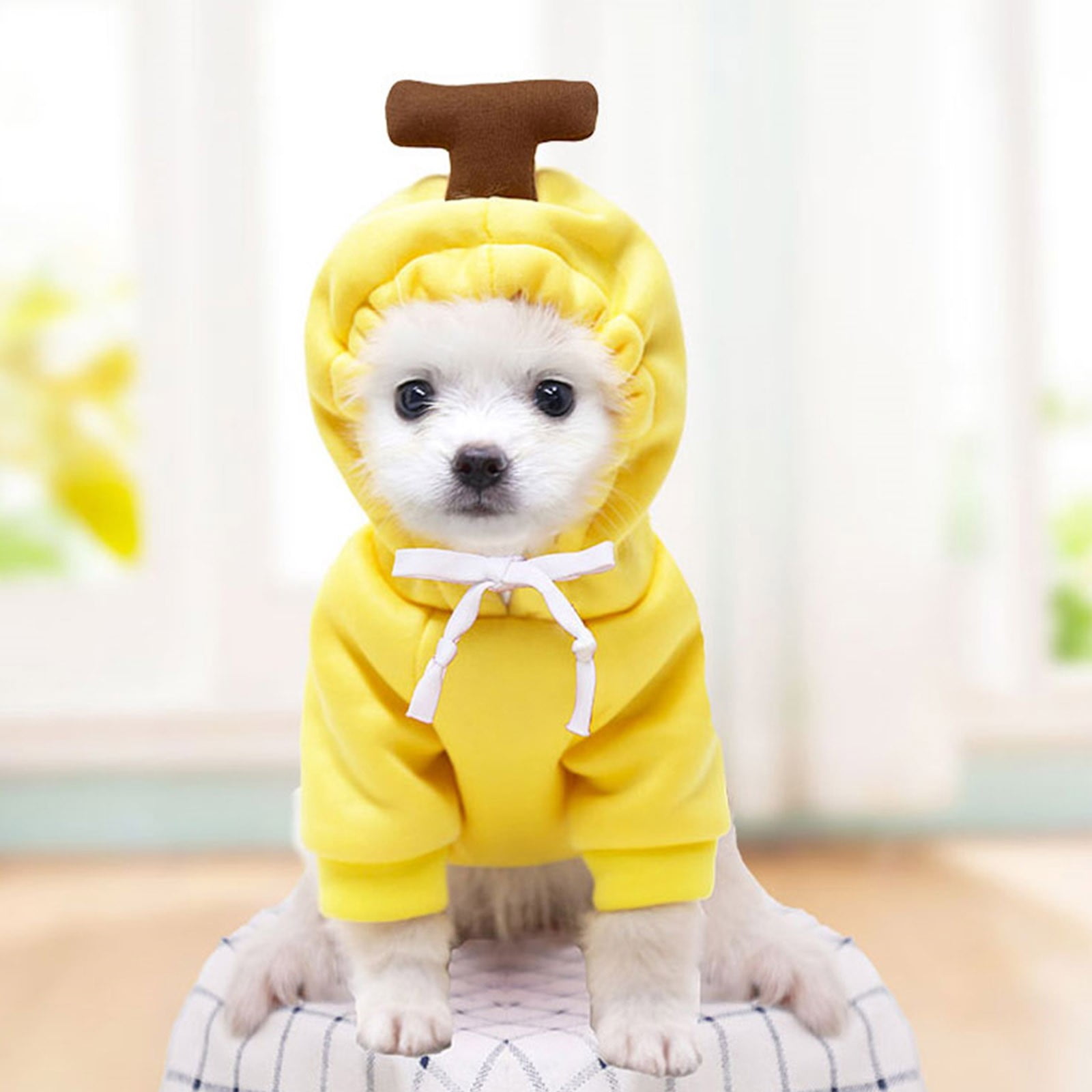 LowProfile Cute Pet Clothes Dogs Cats MediumSized Dogs Love And Velvet
