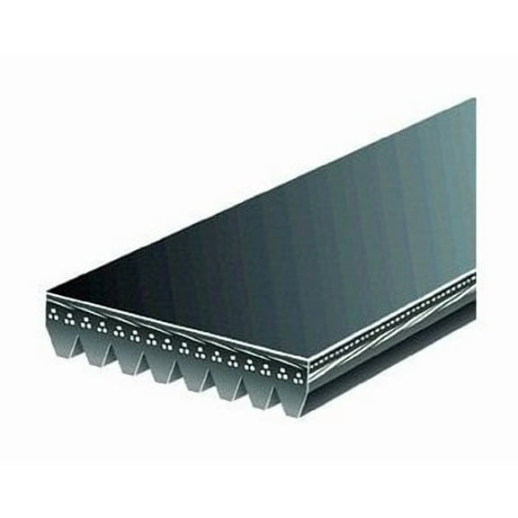 Gates K080825 Serpentine Belt Fits select: 2003 FREIGHTLINER CHASSIS