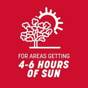Pennington Rebels Tall Fescue Grass Seed, for Sun to Partial Shade, 3 lb.