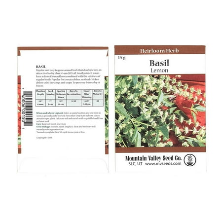 Annual Herb - Lemon Basil Herb Garden Seeds - 1.5 Gram Packet - Non-GMO, Heirloom, Culinary Gardening Seeds - Annual - Ocimum basilicum - Microgreens