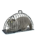 Metal Cat Shower Cage for Cats and Kittens Multipurpose Scratch