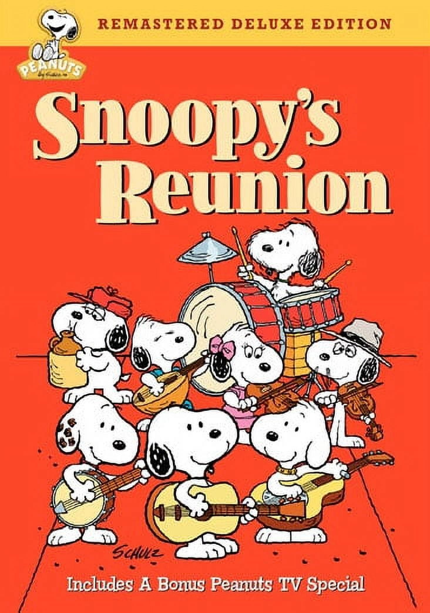 (未使用･未開封品)Snoopy &amp; Friends [DVD] Snoopy and Friends [DVD] - Walmart.com