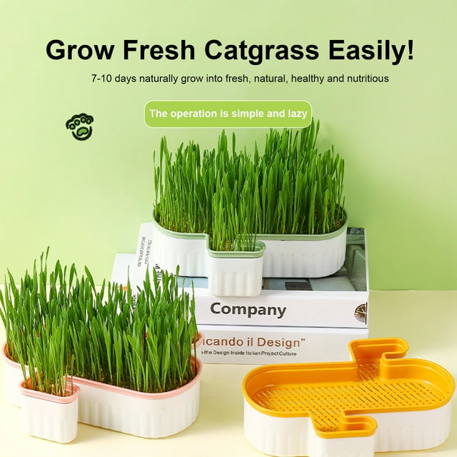 Trayknick Hydroponic Cat Grass Planter Detachable Bottom Fine Filter Hole Double Layer Soilless Catnip Snack Growing Box for Garden Pink