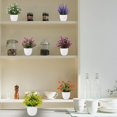 thumbnail image 4 of 6 Pcs Plantas Artificiales, Flores Artificiales, Plantas Artificiales Decorativas, Plantas en Macetas para Decoración del Hogar, Interior, Oficina, Escritorio, Habitación, Granja, Multicolor, 4 of 4