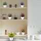 thumbnail image 4 of 6 Pcs Plantas Artificiales, Flores Artificiales, Plantas Artificiales Decorativas, Plantas en Macetas para Decoración del Hogar, Interior, Oficina, Escritorio, Habitación, Granja, Multicolor, 4 of 4