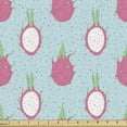 thumbnail image 1 of Fruits Fabric by the Yard, Hand Drawn Like Sketch of Exotic Dragon Fruit on Dotted Backdrop, Decorative Upholstery Fabric for Chairs & Home Accents, Pale Blue and Pastel Pink by Ambesonne, 1 of 5