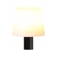 thumbnail image 1 of Botella Vino Decorativa Recargable 2000mAh para Fiestas Bares Restaurantes, 1 of 9