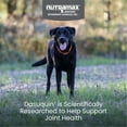 thumbnail image 2 of Nutramax Dasuquin for Large Dogs, Joint Health Supplement, Contains Glucosamine for Dogs, Plus Chondroitin, ASU and More, Supports Healthy Joints, Chewable Tablets, 84 Count, 2 of 10