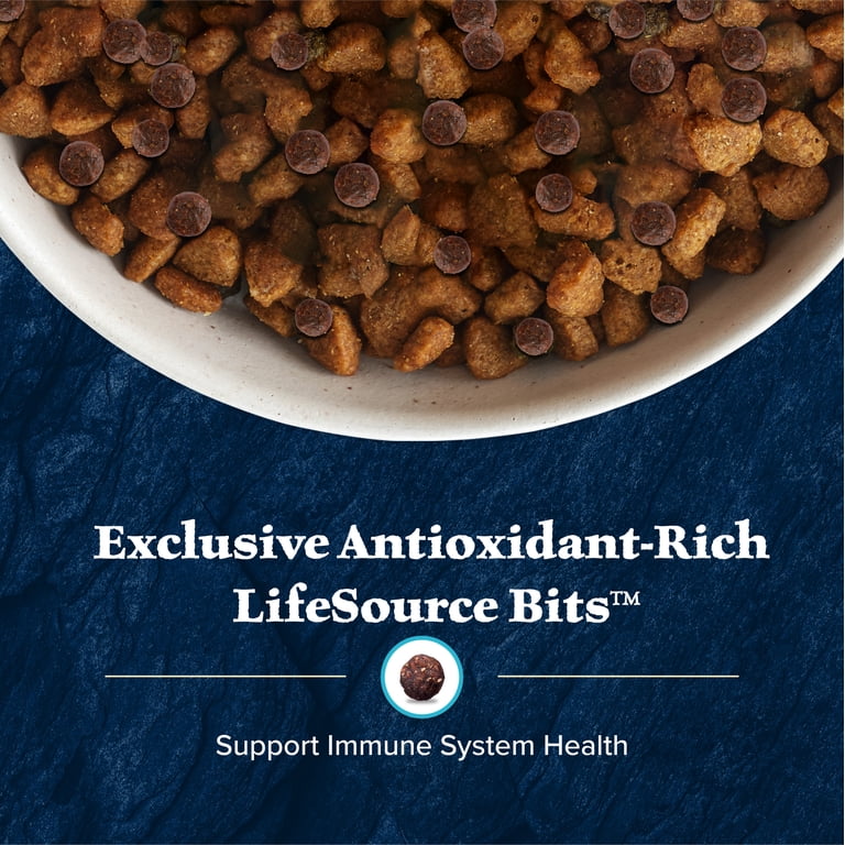 High-Protein Salmon Dry Dog Food for Adults photo 7
