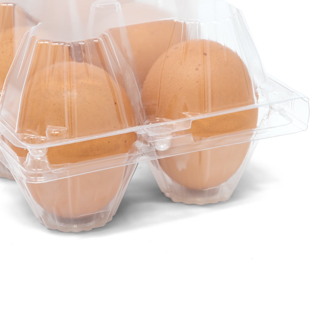 50 Pack of Egg Cartons, NO EGGS! Bulk, Clear Plastic Egg CARTONS ONLY, 50 pack, Wholesale