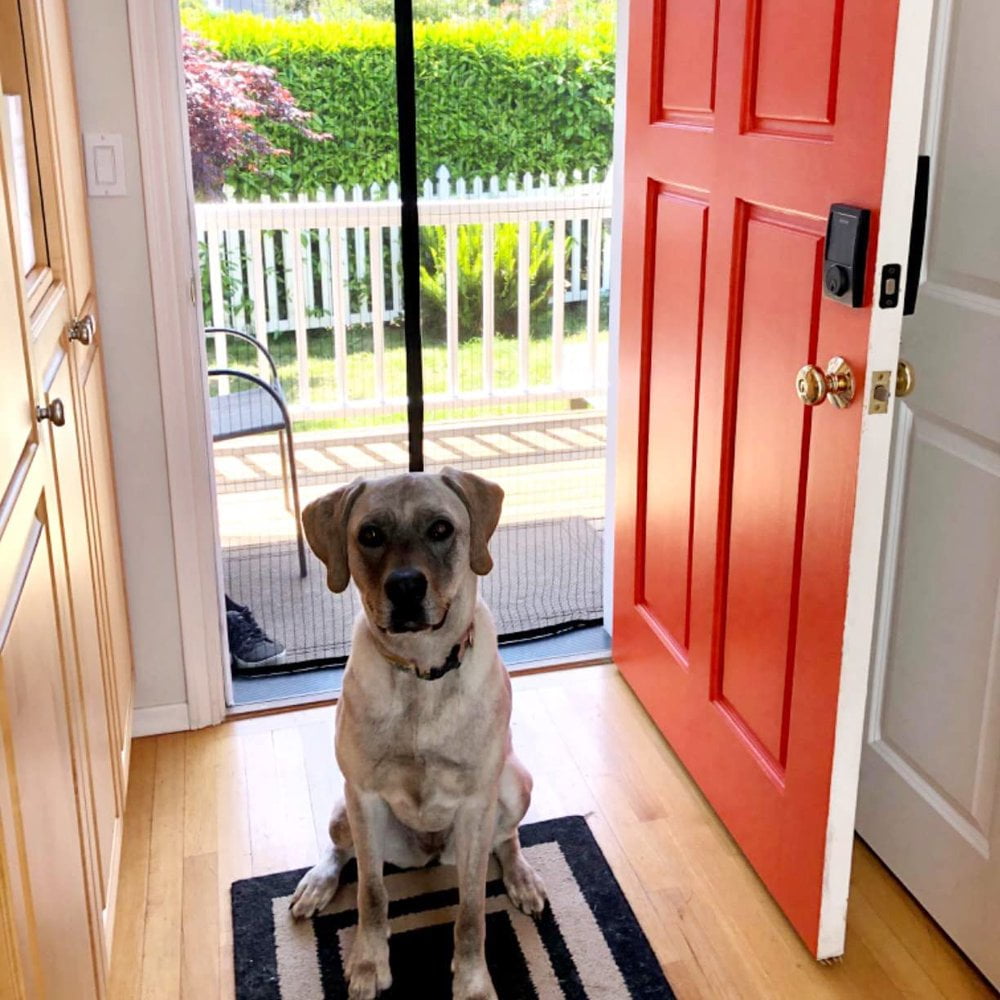 Magnetic Screen Door Mesh Mosquito Net for Door Poweful Magnets No Hands Entry Heavy Duty Mesh Keeps Natural Out Quicky Easy to Install Pet Friendly 43 Inch x 83 Inch Walmart
