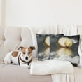 thumbnail image 4 of Ambesonne Moon Throw Pillow Cover 2 Pack, Clouds and Greyscale World, 20", Grey Pale Yellow White, 4 of 5