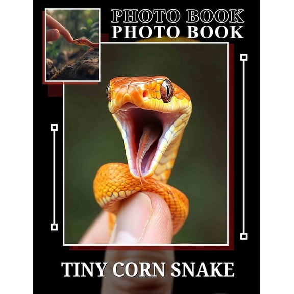 TIny Corn Snake Photo Book: Explore Captivating Imagery Of Small Snakes For Enthusiasts, Nature Lovers And Reptile Fans, (Paperback)