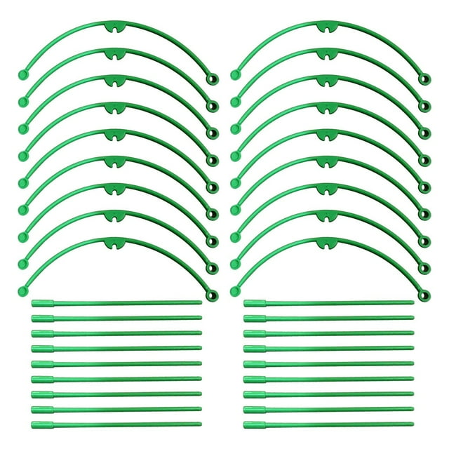Cage de Support pour Plantes Grimpantes avec Piquets et Anneau de Stabilisation