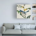 thumbnail image 2 of Trademark Fine Art John James Audubon Avian Crop Viii Canvas Wall Art - 24x24, 2 of 5