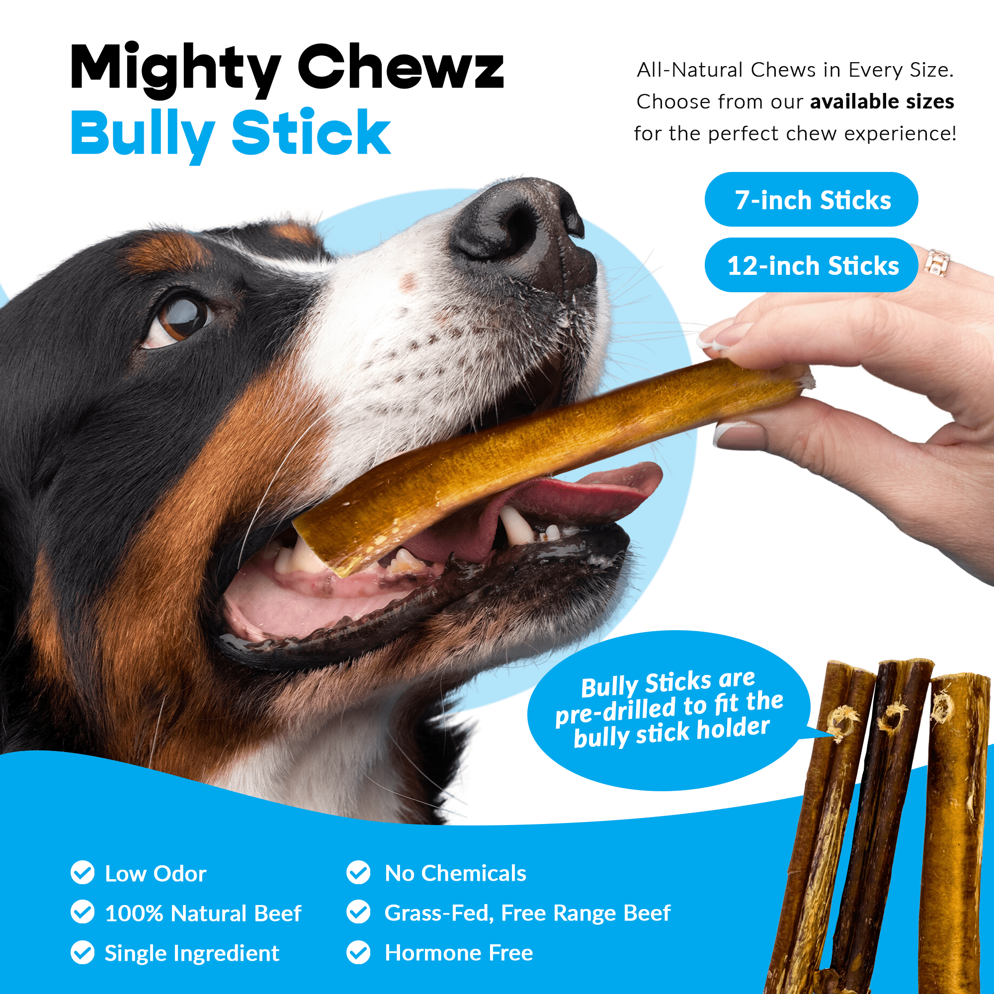 12" Thick Bully Sticks - Bully Bone Included