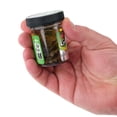 thumbnail image 3 of Berkley Gulp! Alive!® Stonefly, 1.25 in, Creatures, Smog (1 Count), 3 of 6