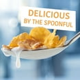 thumbnail image 5 of Kellogg's Frosted Flakes Insta-Bowls Cold Breakfast Cereal, Instant Cereal, Kids Snacks, Original, 1.6oz Cup (1 Cup), 5 of 13