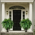 thumbnail image 2 of UV Resistant Lifelike Artificial Boston Fern, 2Pcs Realistic Faux Ferns Plants, Large Artificial Boston Fern Bush for Planters, Office & Home Decor, Outdoor & Indoor, 2 of 8