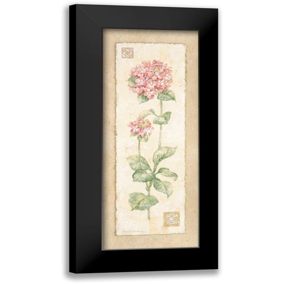 Gladding, Pamela 8x14 Black Modern Framed Museum Art Print Titled - Hydrangea