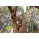 thumbnail image 5 of SZTXJ 1 Pack Ultra Quiet Double Bearing 304 Stainless Steel U-Shaped Swivel Pulley Detachable 360 Degree Swivel Heavy Duty Pulley, 5 of 5